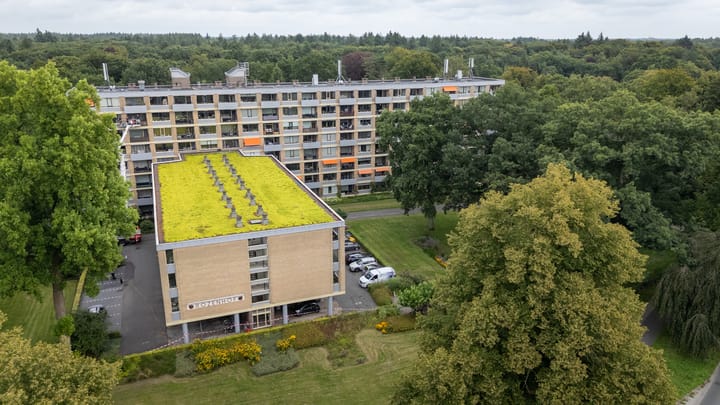 Foto 17 van Rozenhof 36