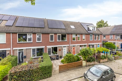 undefined main image