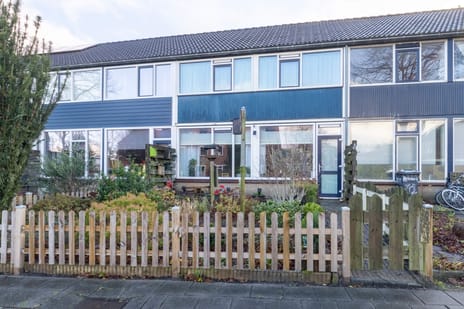 undefined main image