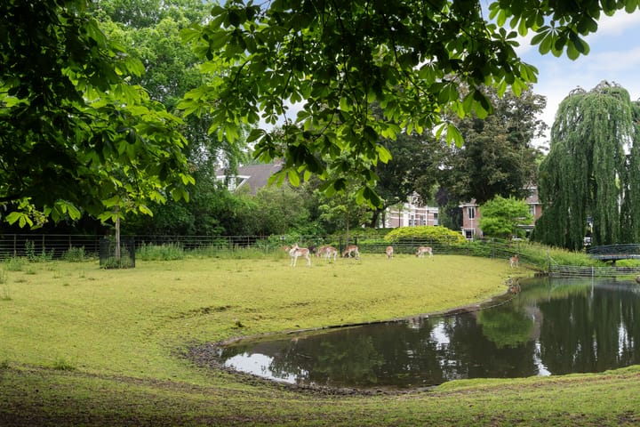 Photo 68 of Noordendijk 135-A