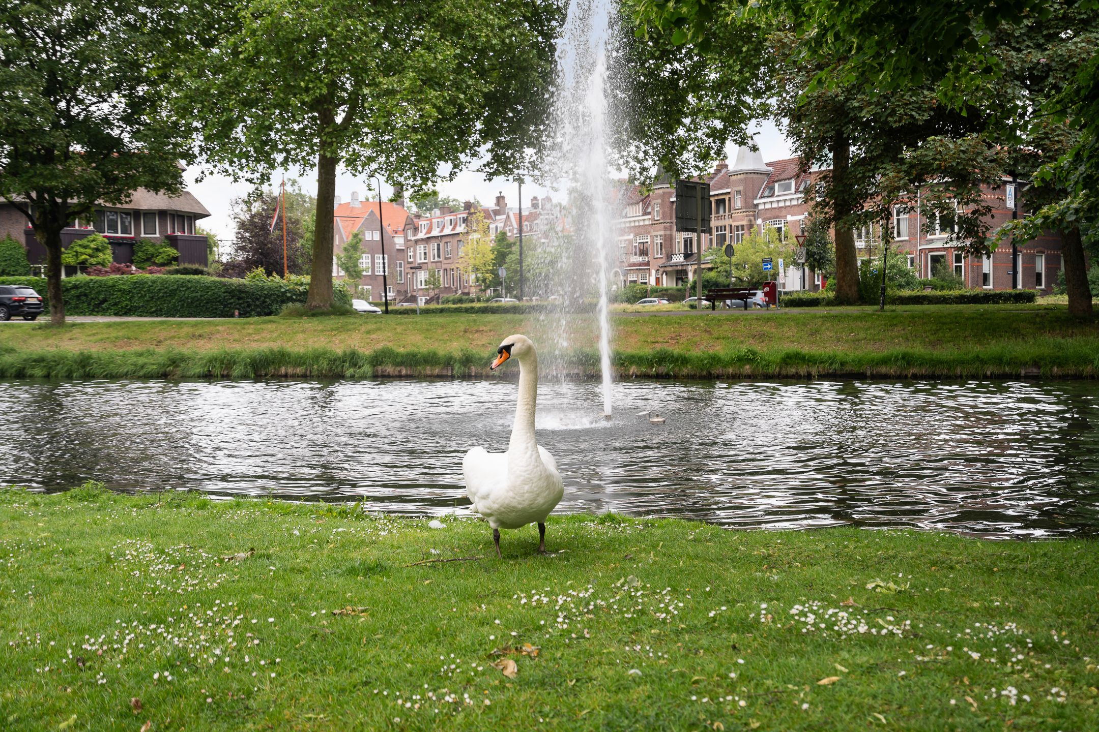 Photo 69 of Noordendijk 135-A