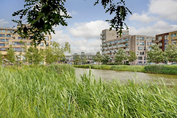 Foto 27 van Theo van Doesburgstraat 107