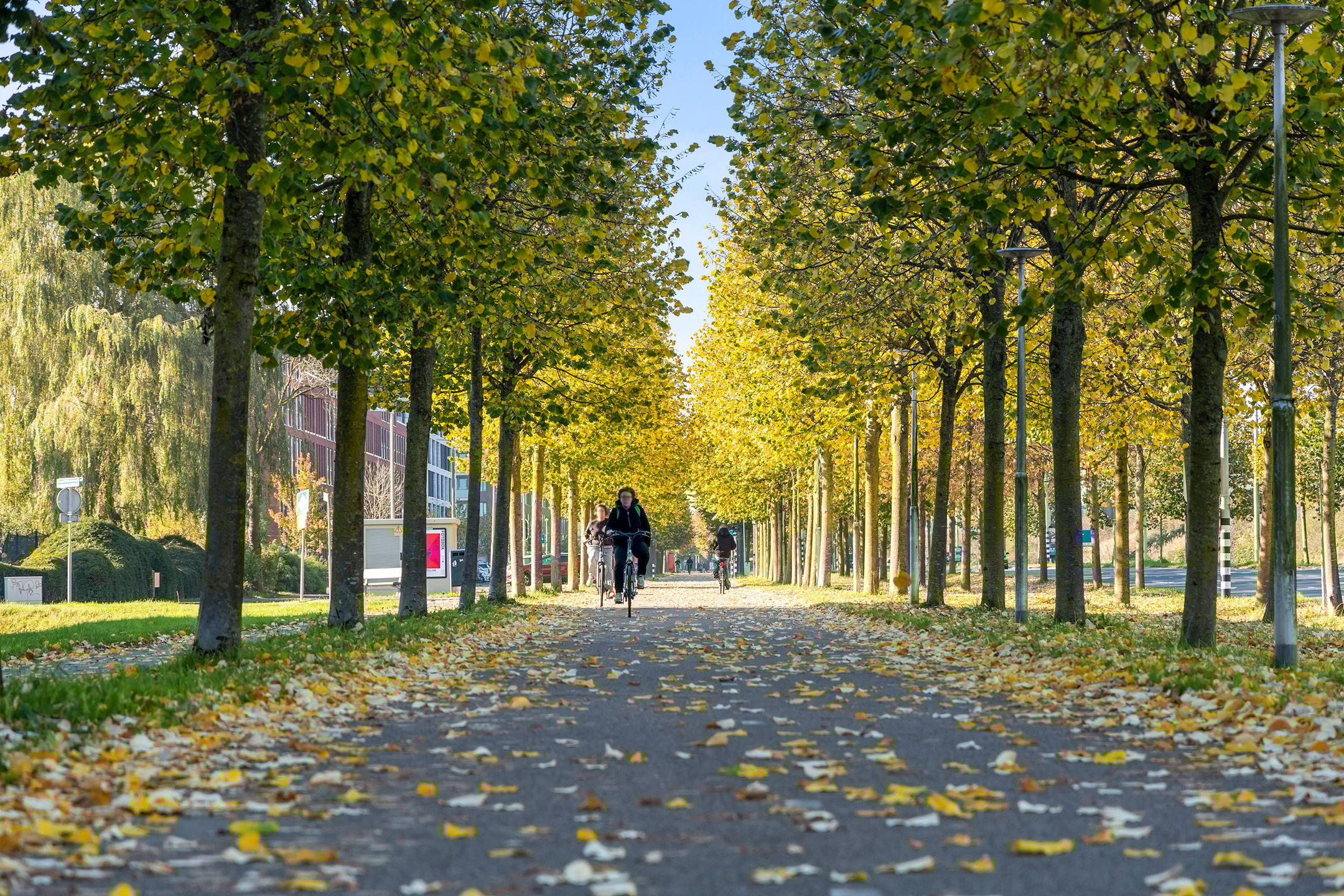 Foto 45 van Carel Willinkstraat 12