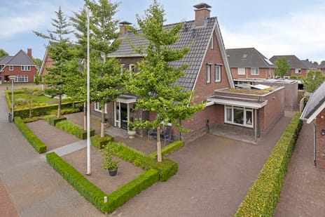 Pinksterbloem thumbnail