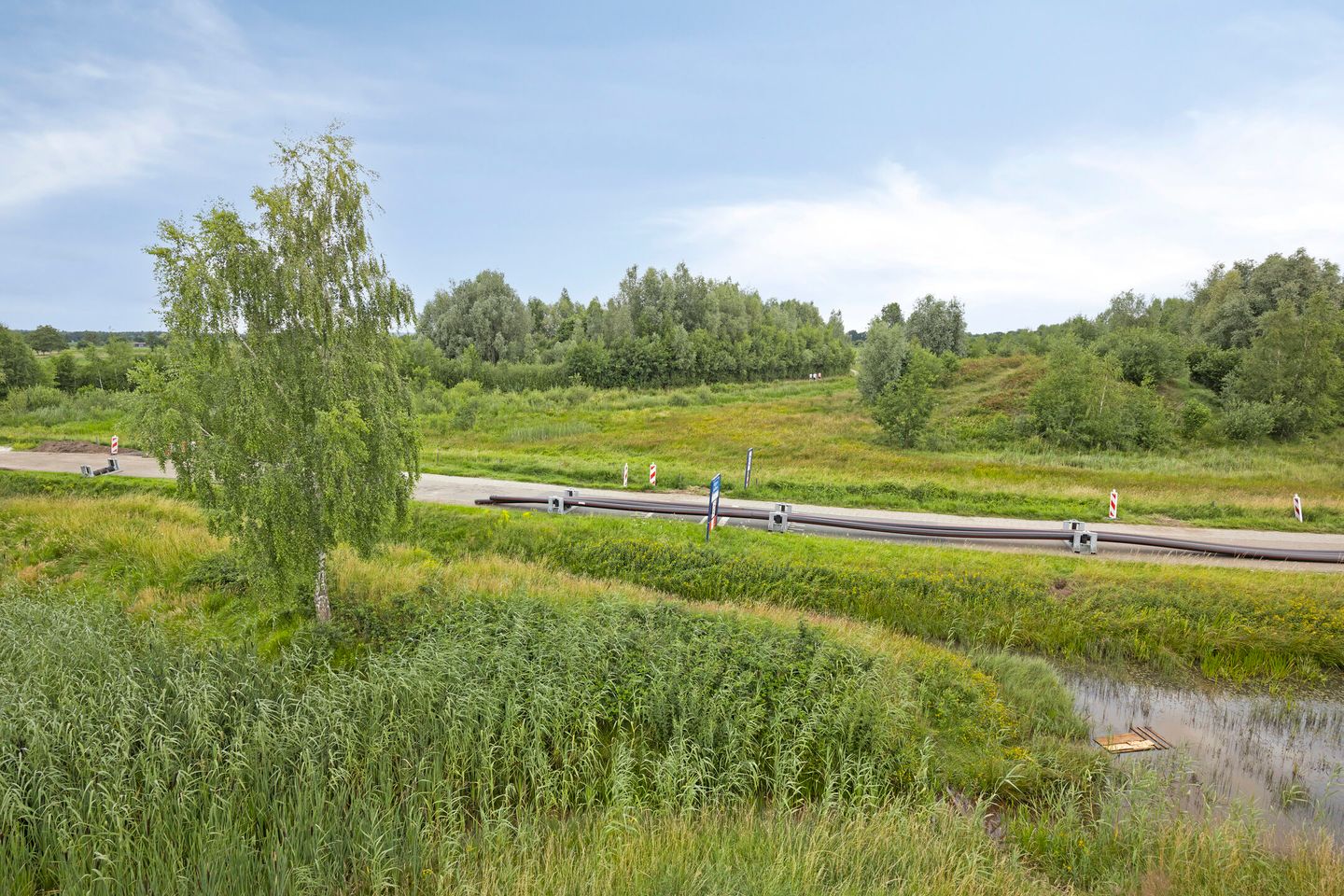 Foto 4 van Pinksterbloem 46