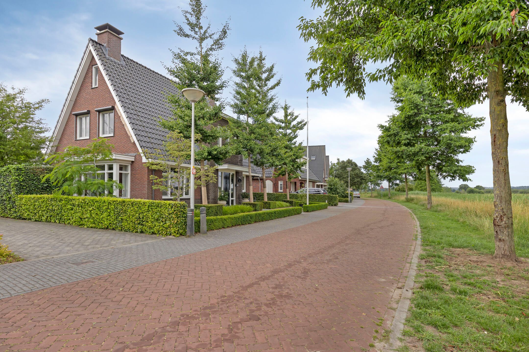 Foto 6 van Pinksterbloem 46