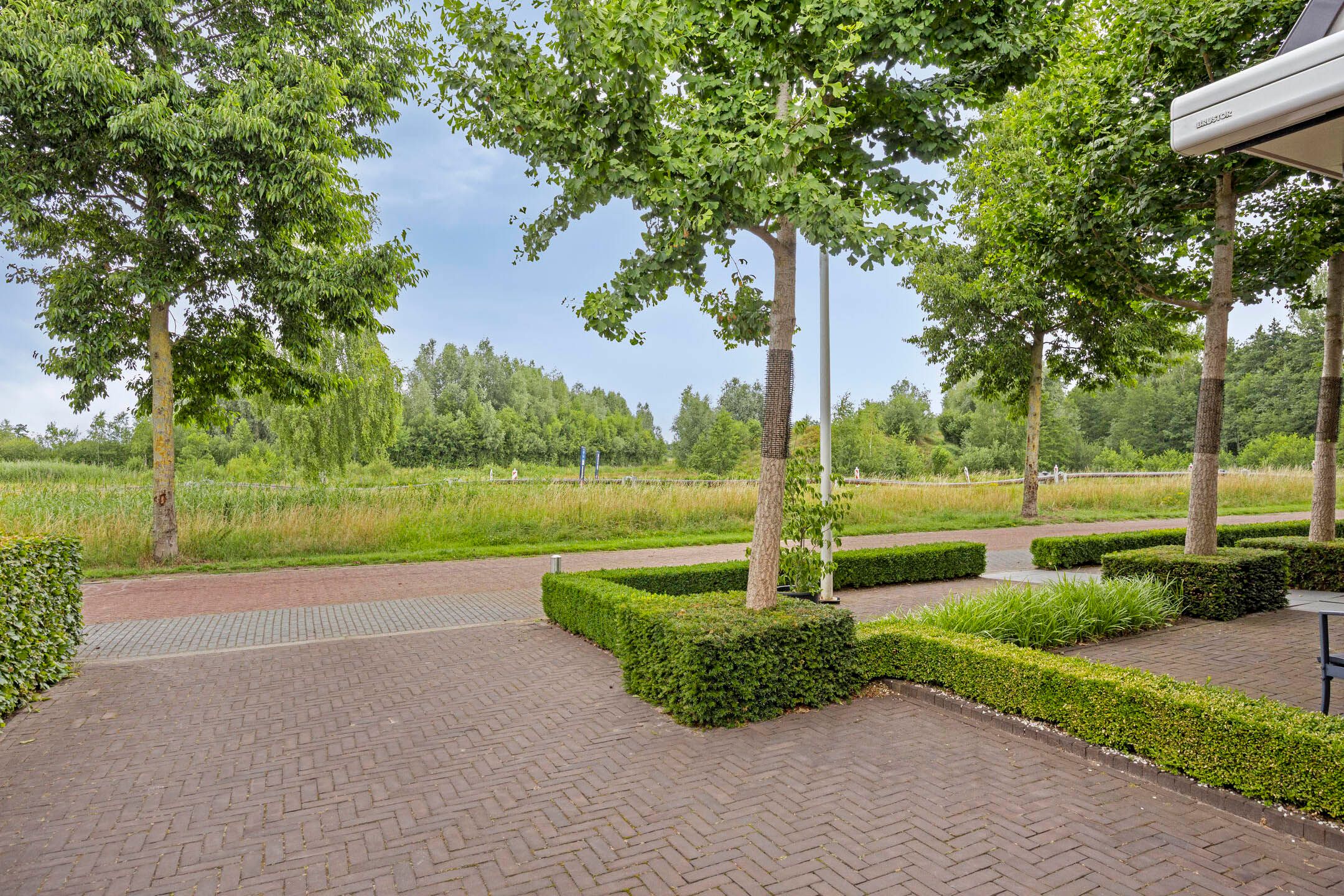 Foto 9 van Pinksterbloem 46