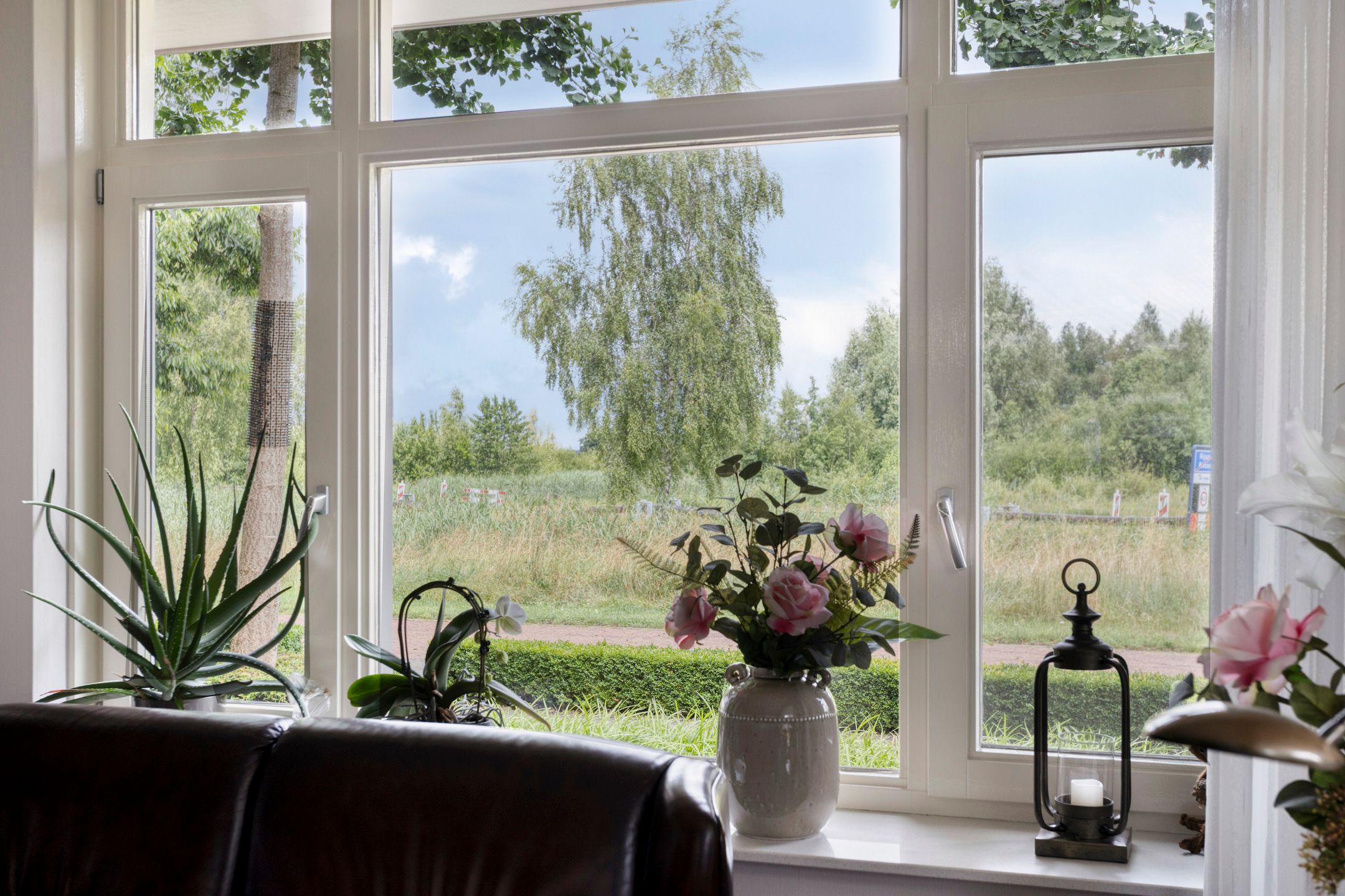 Foto 12 van Pinksterbloem 46