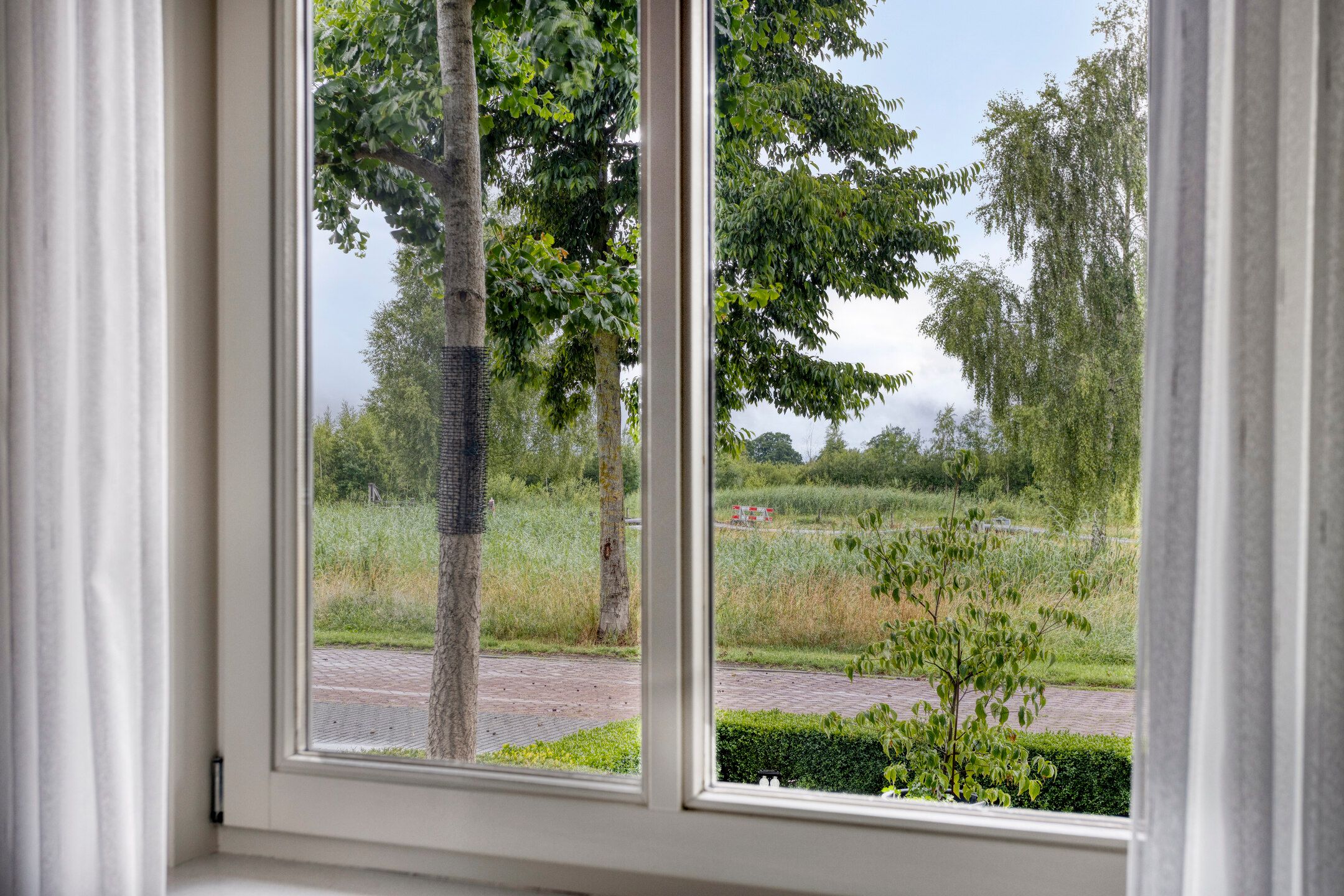 Foto 27 van Pinksterbloem 46