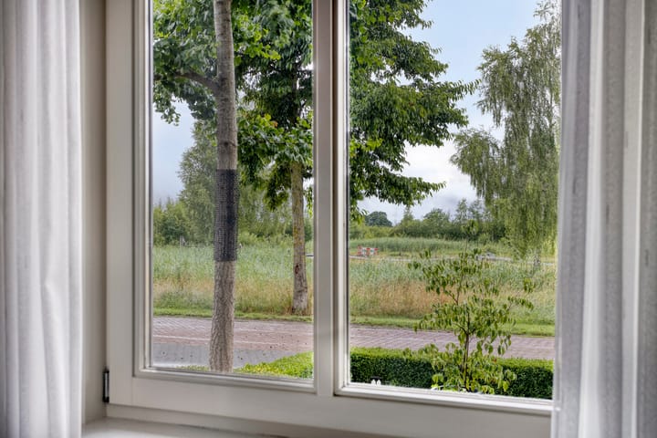 Foto 27 van Pinksterbloem 46