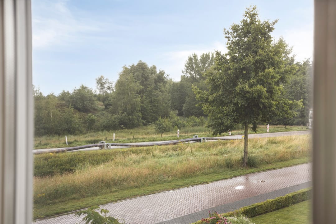 Foto 38 van Pinksterbloem 46