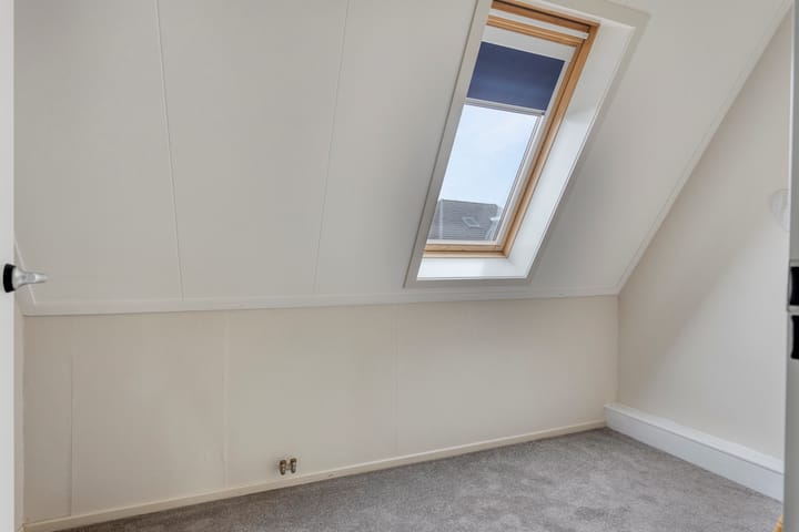 Foto 40 van Pinksterbloem 46