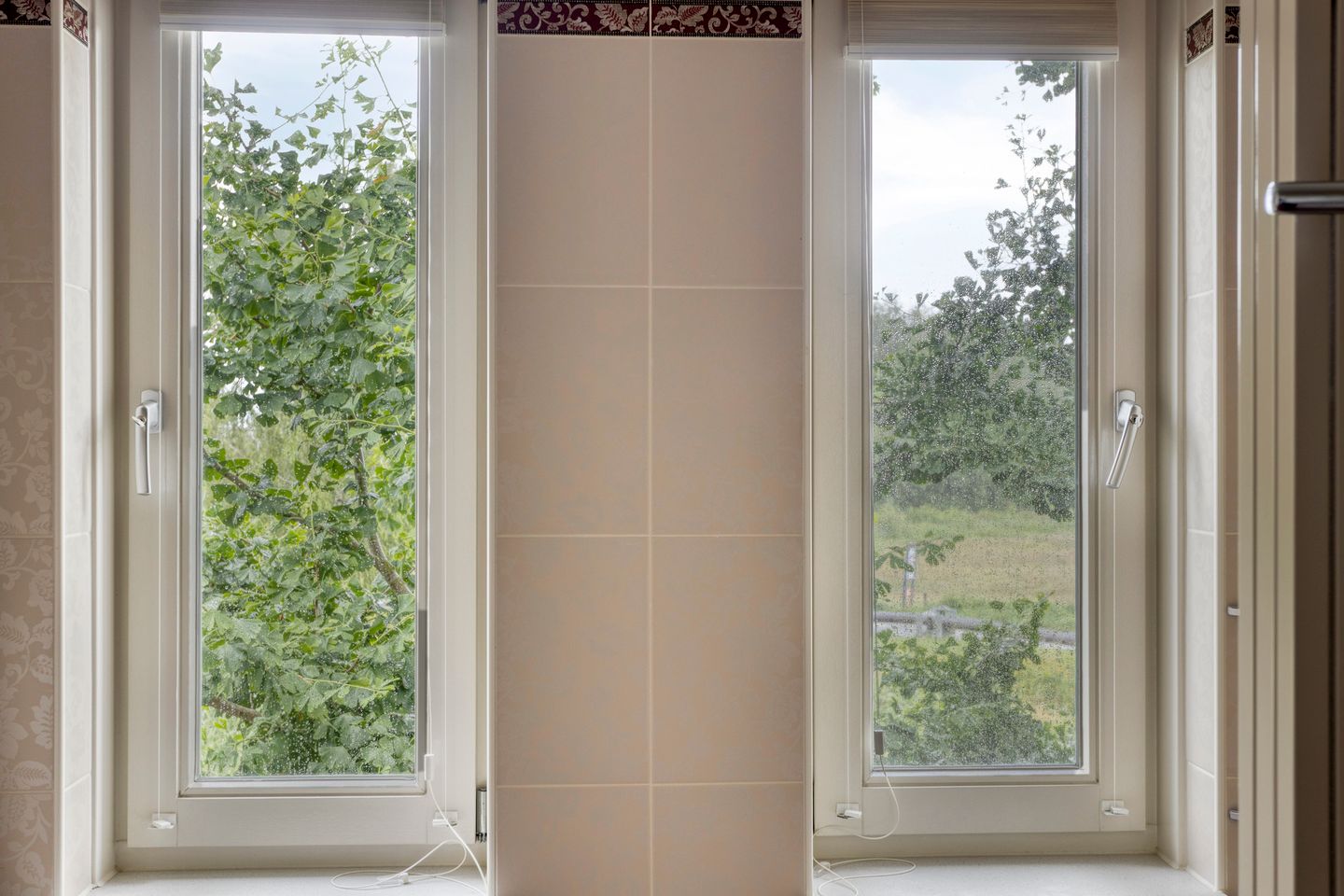 Foto 44 van Pinksterbloem 46