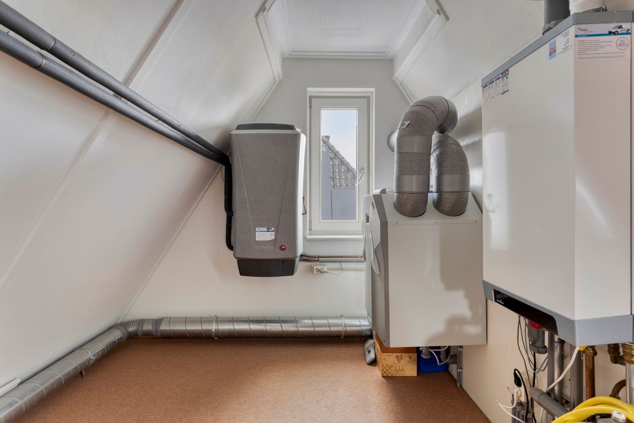 Foto 45 van Pinksterbloem 46