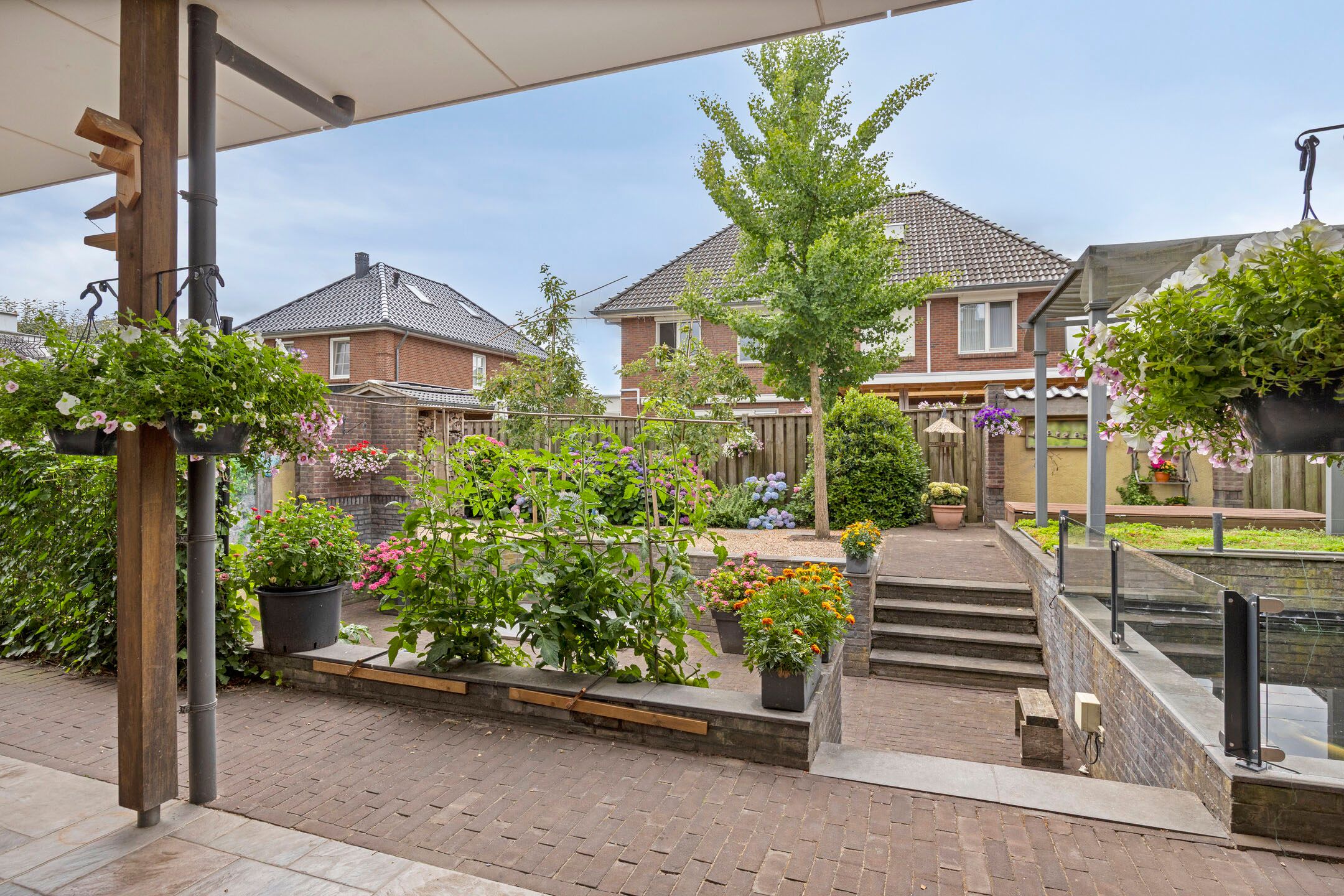 Foto 48 van Pinksterbloem 46