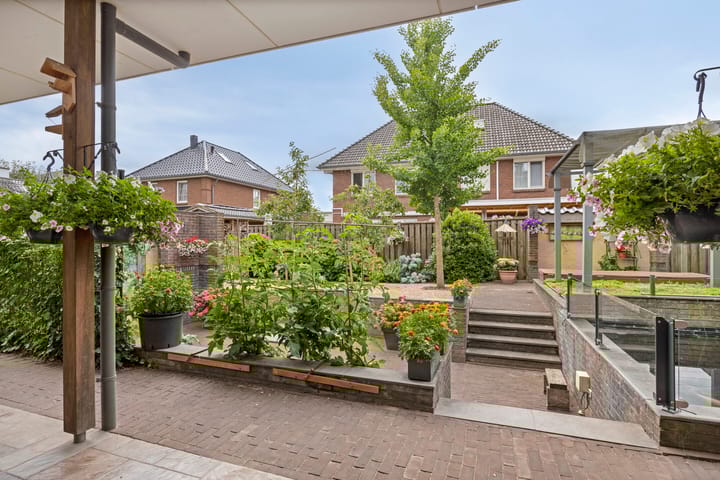 Foto 48 van Pinksterbloem 46