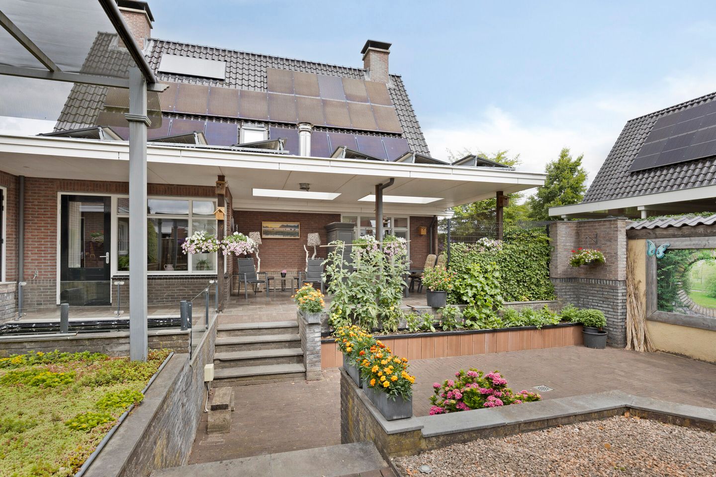 Foto 49 van Pinksterbloem 46