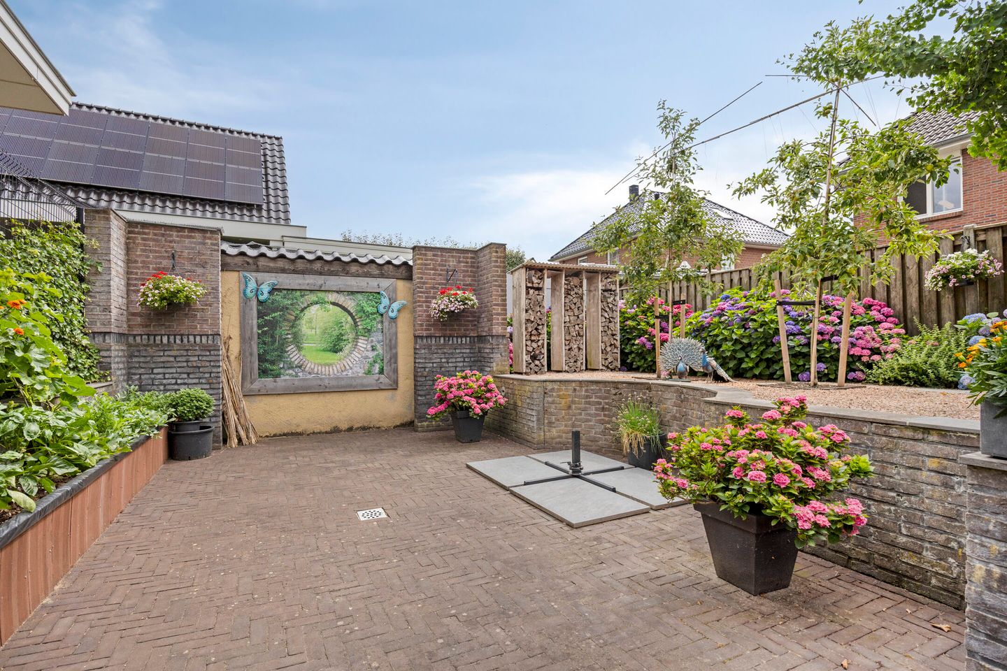 Foto 50 van Pinksterbloem 46