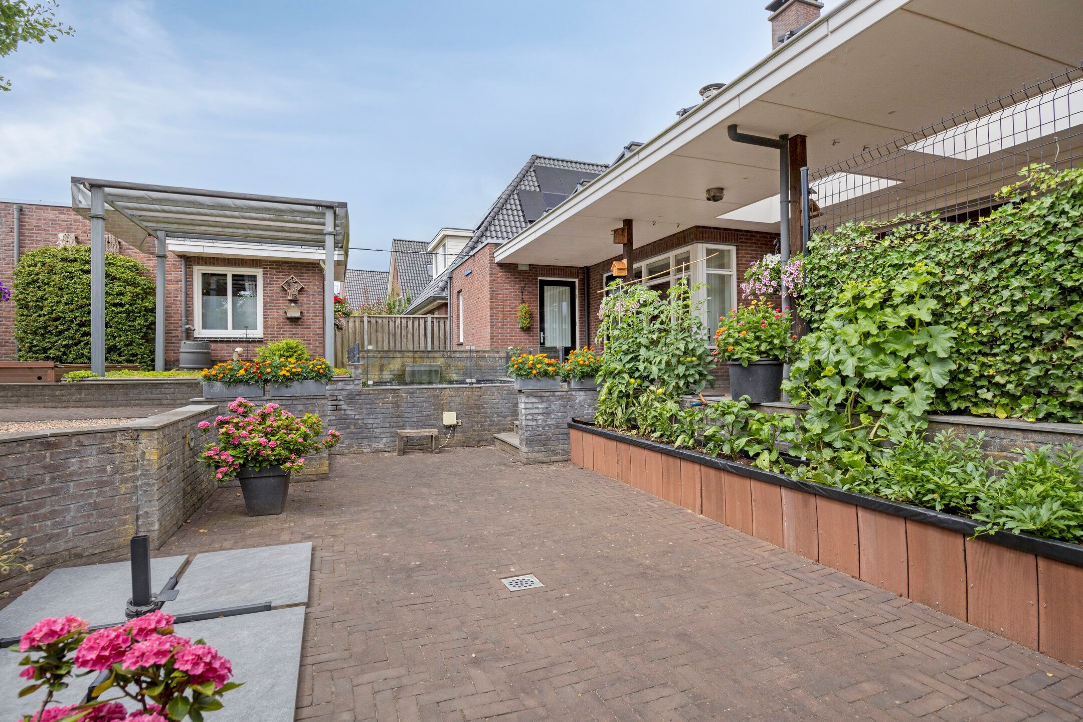 Foto 51 van Pinksterbloem 46