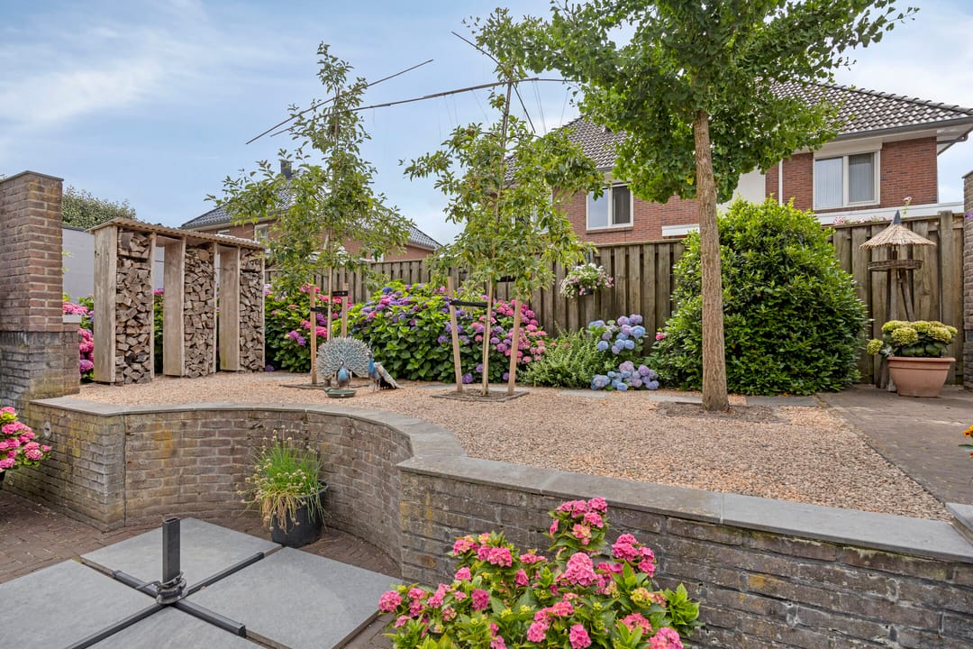 Foto 52 van Pinksterbloem 46