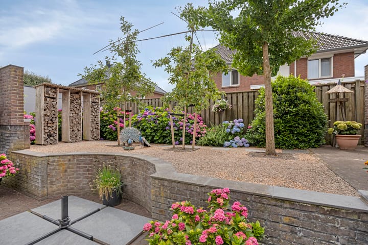 Foto 52 van Pinksterbloem 46