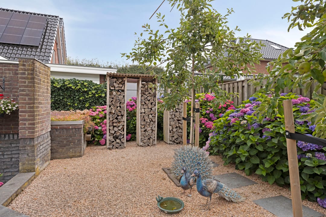 Foto 53 van Pinksterbloem 46