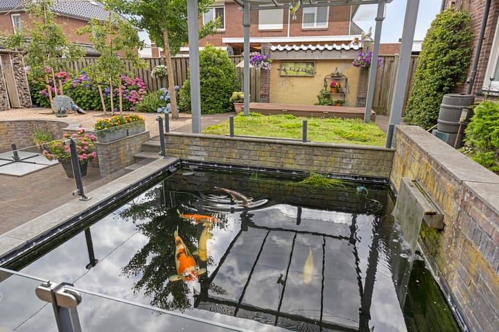 Foto 56 van Pinksterbloem 46