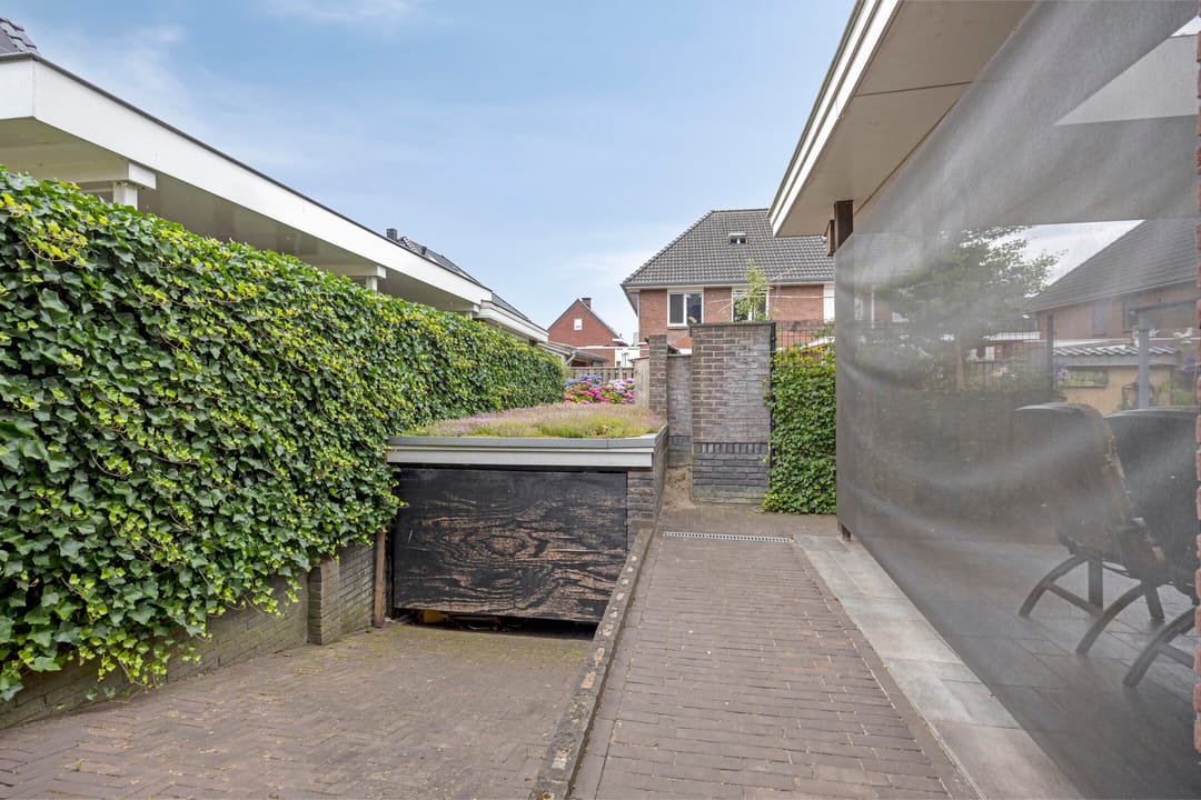 Foto 58 van Pinksterbloem 46