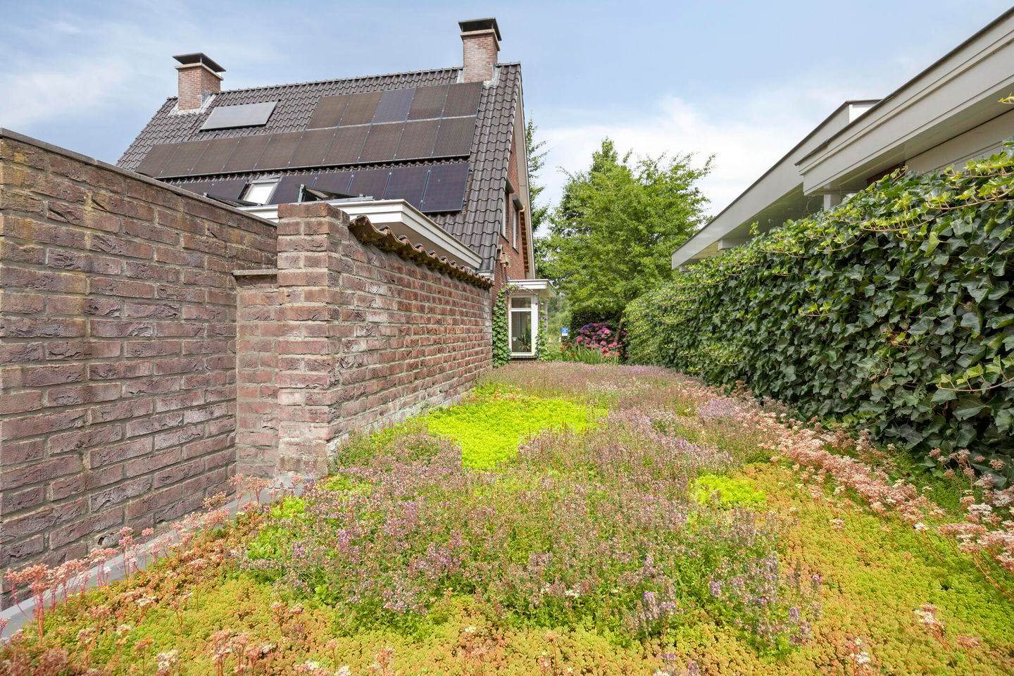 Foto 59 van Pinksterbloem 46