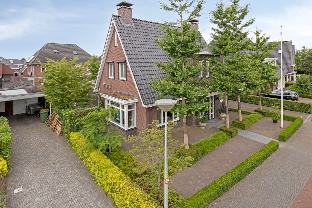 Foto 61 van Pinksterbloem 46