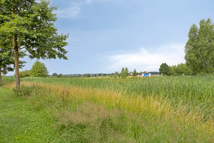 Foto 62 van Pinksterbloem 46