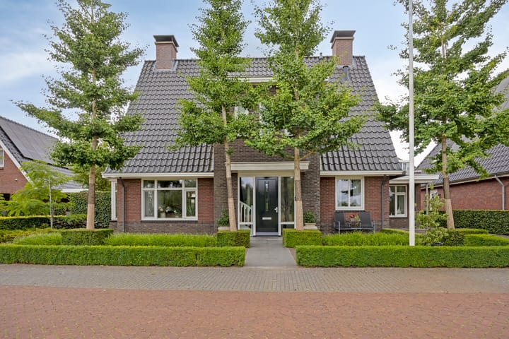 Foto 63 van Pinksterbloem 46