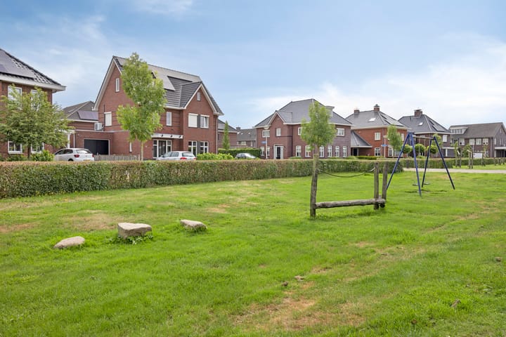 Foto 64 van Pinksterbloem 46