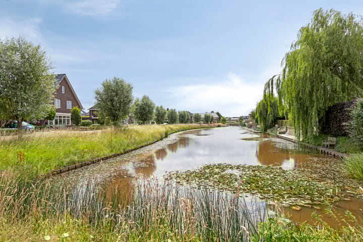 Foto 65 van Pinksterbloem 46