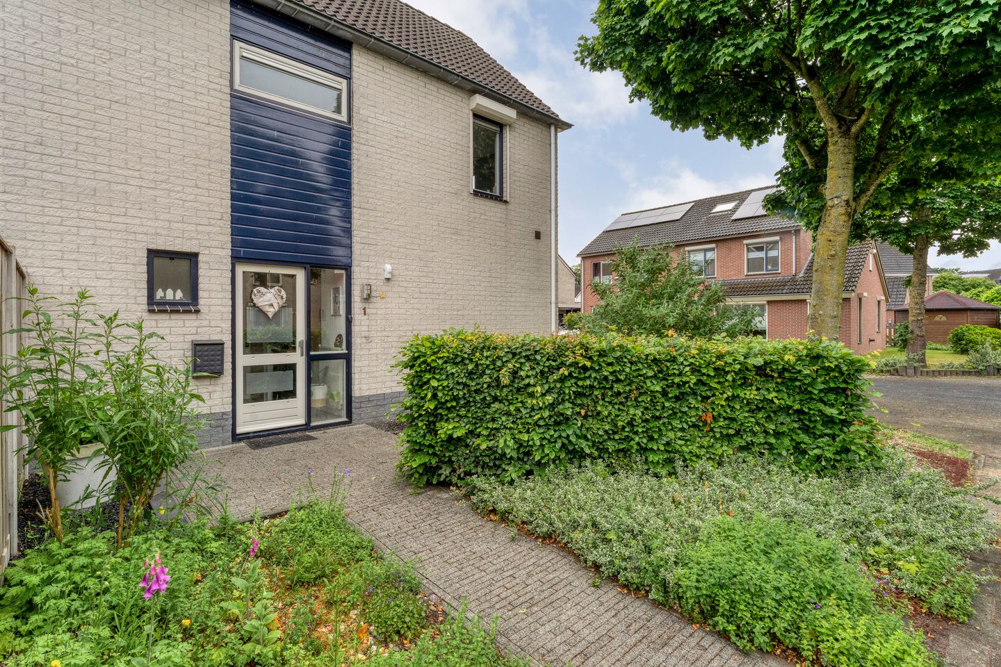 Photo 5 of Zenegroen 1