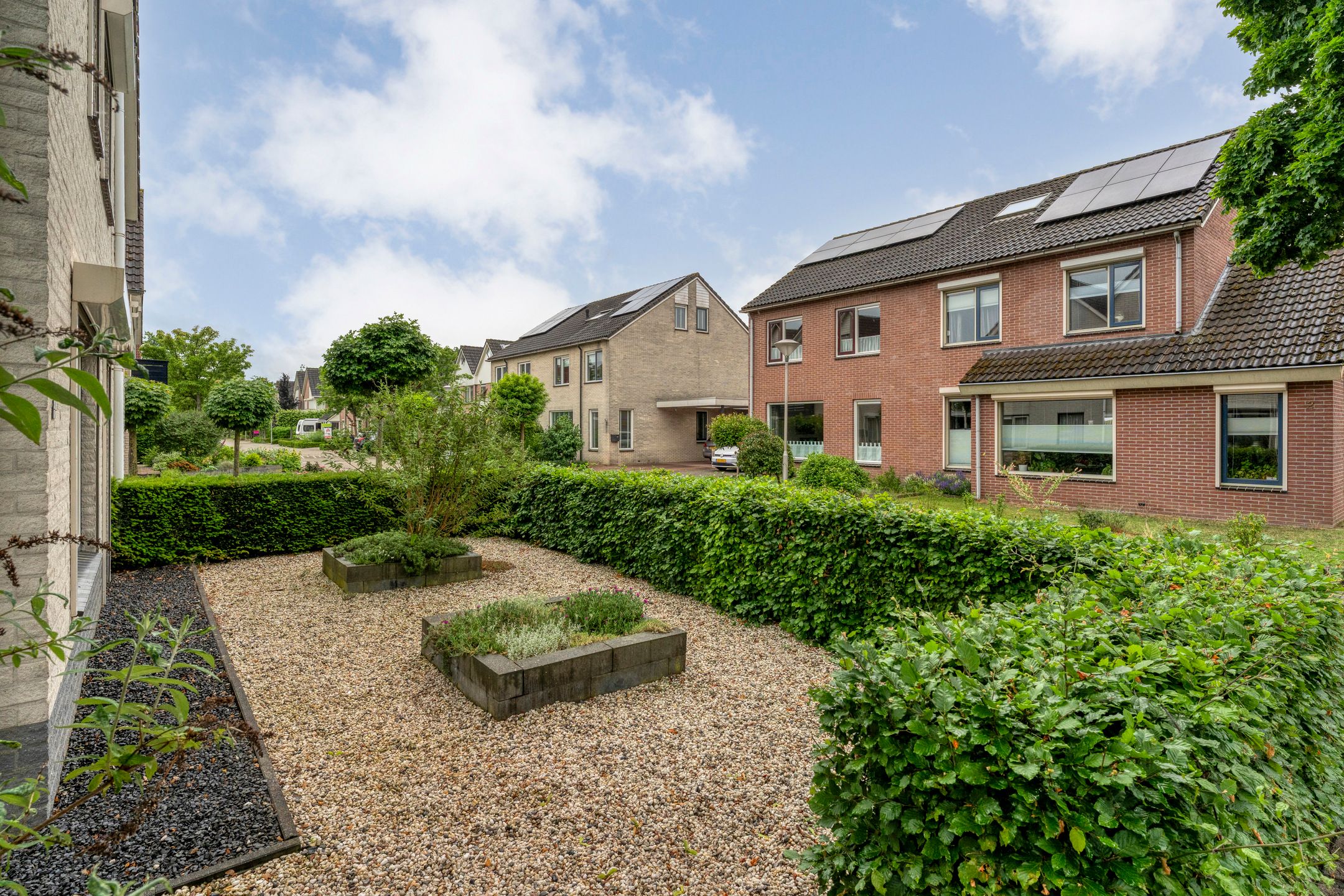 Photo 9 of Zenegroen 1