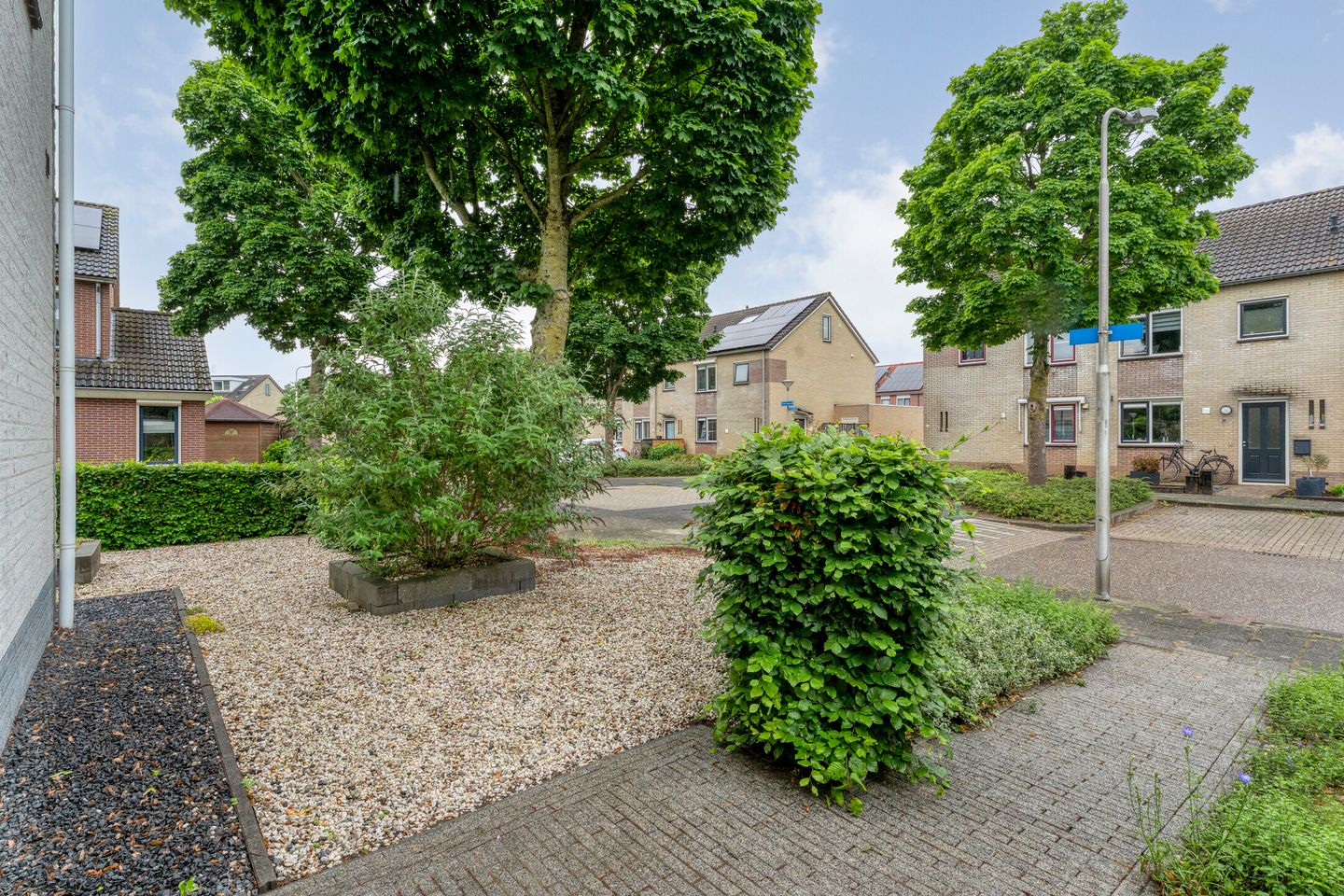 Photo 10 of Zenegroen 1