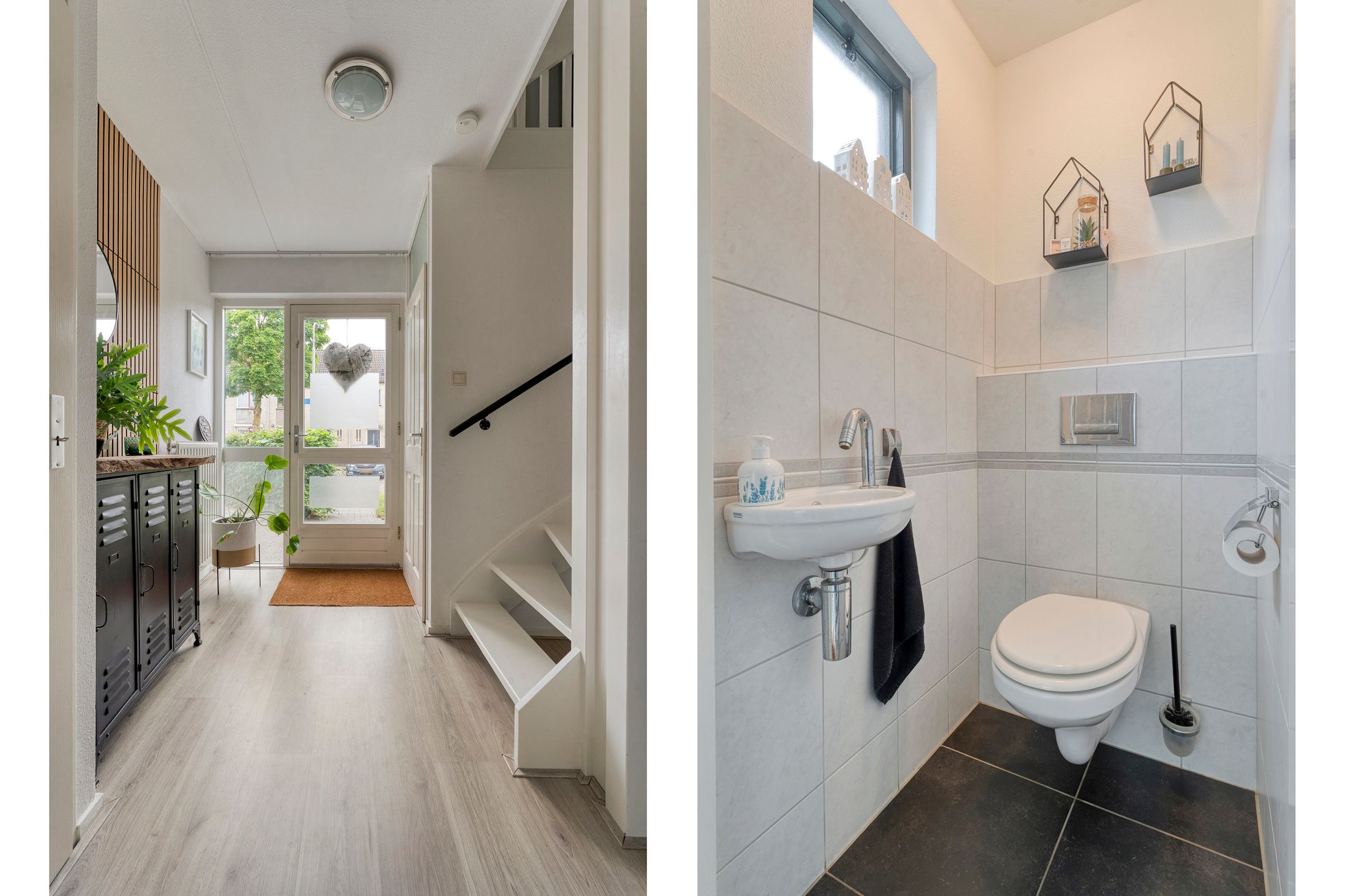 Photo 12 of Zenegroen 1