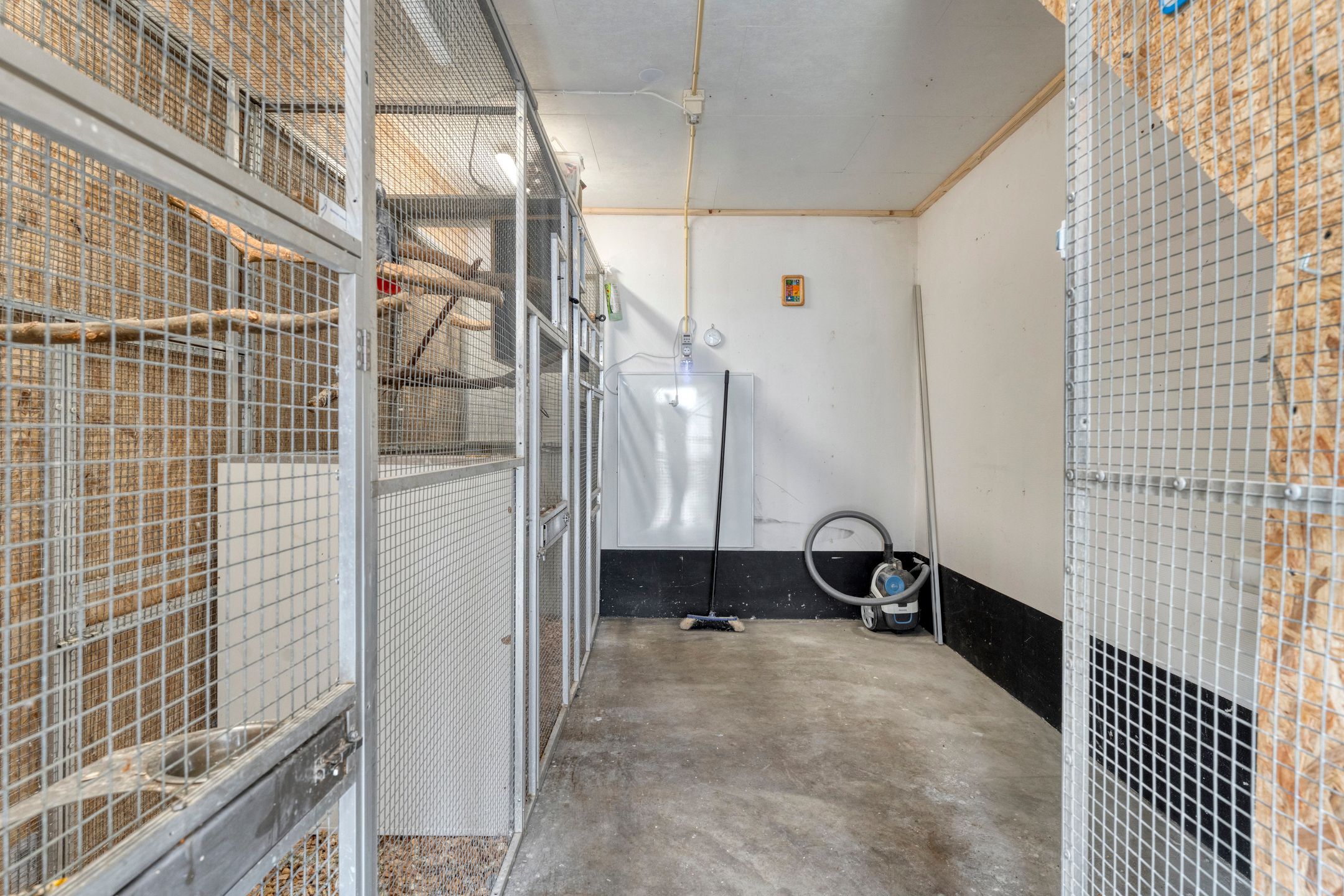 Photo 48 of Zenegroen 1