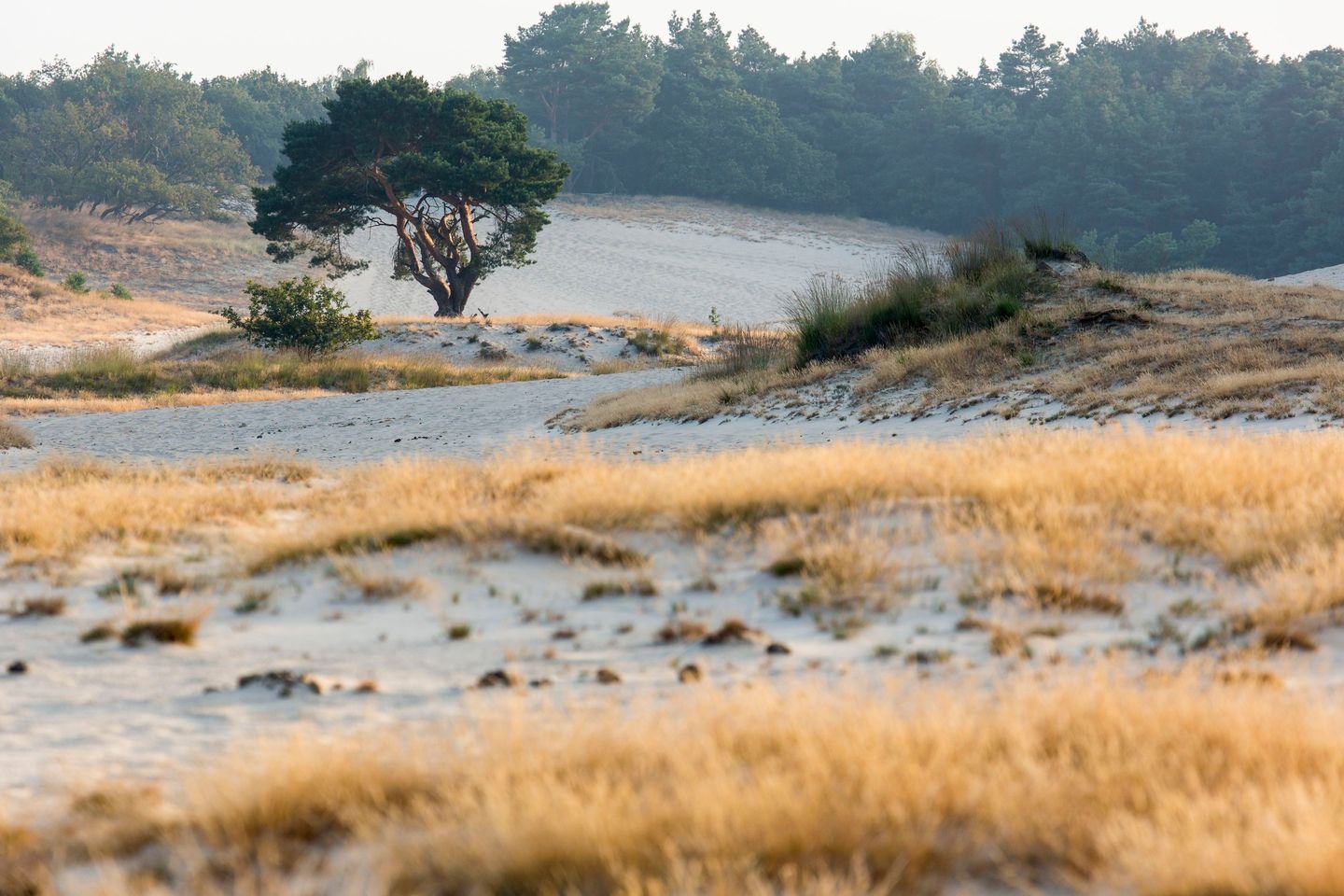 Foto 59 van Nieuwkuikseweg 22