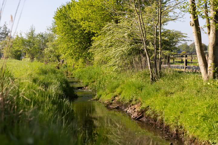 Foto 47 van Klein Moorst 14