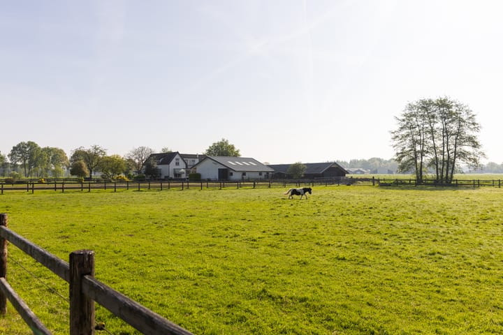 Foto 49 van Klein Moorst 14