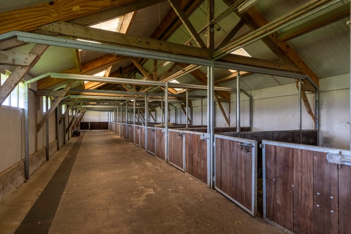 Foto 51 van Klein Moorst 14