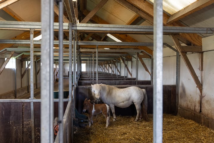 Foto 52 van Klein Moorst 14