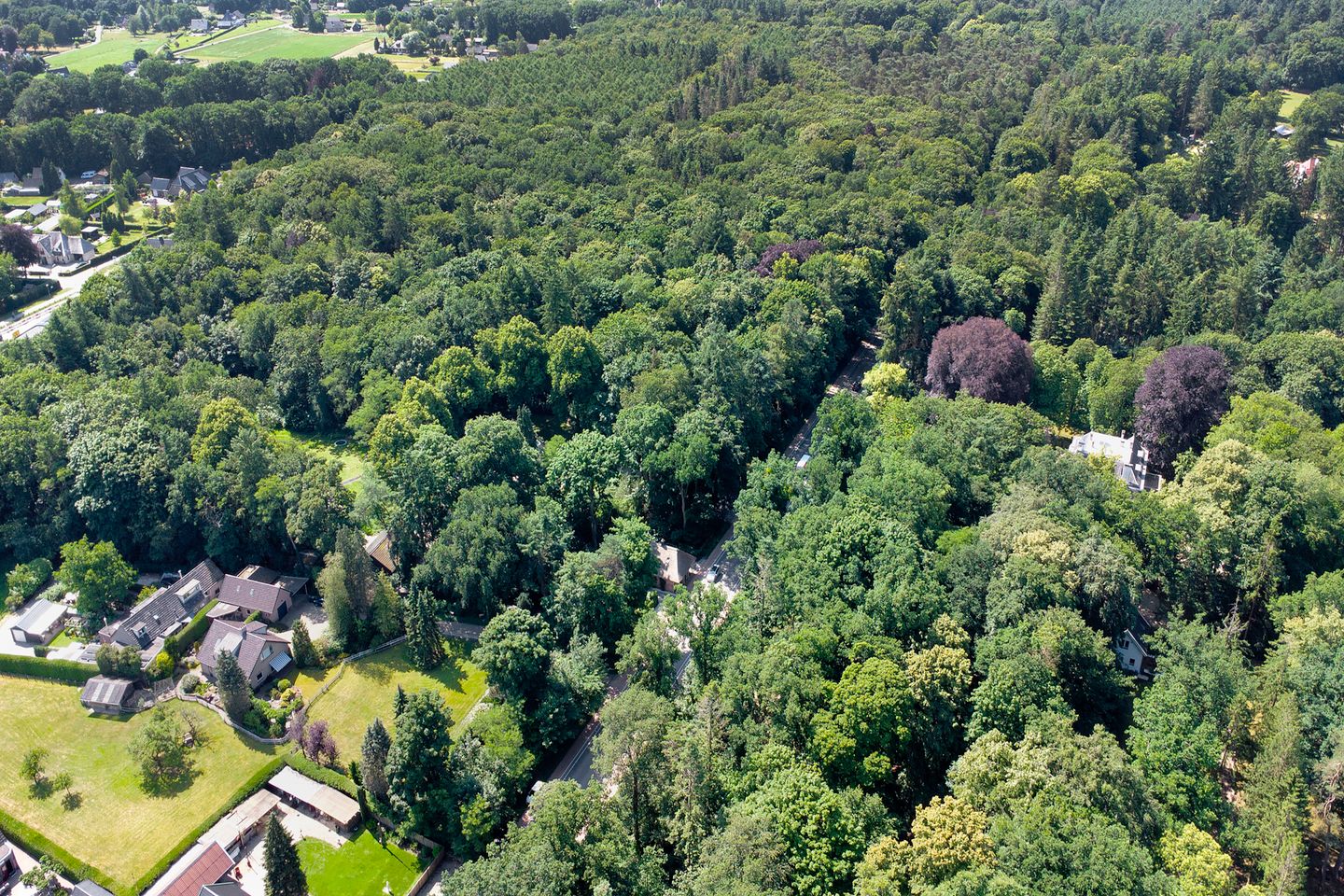 Photo 35 of Groteweg 12