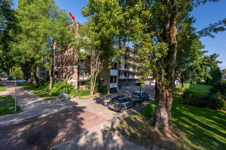 Foto 21 van Piersonstraat 64