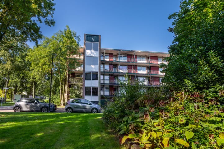 Foto 24 van Piersonstraat 64