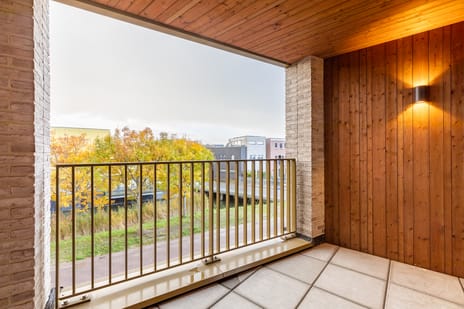 Agamemnonsingel thumbnail