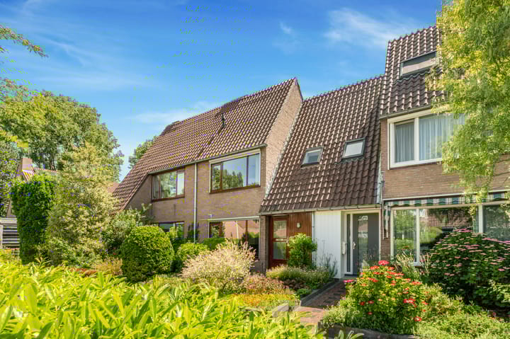 Foto 1 van Droogbloem 10