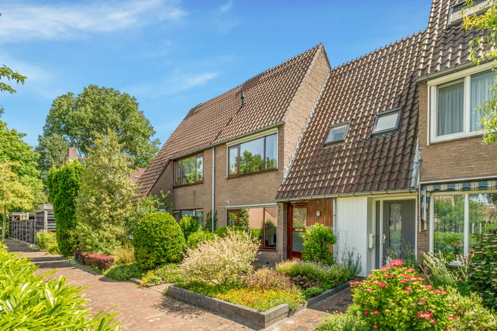 Foto 5 van Droogbloem 10